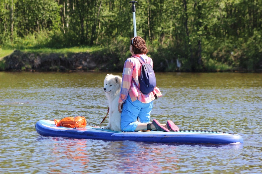 Как выбрать сап для начинающего.jpg